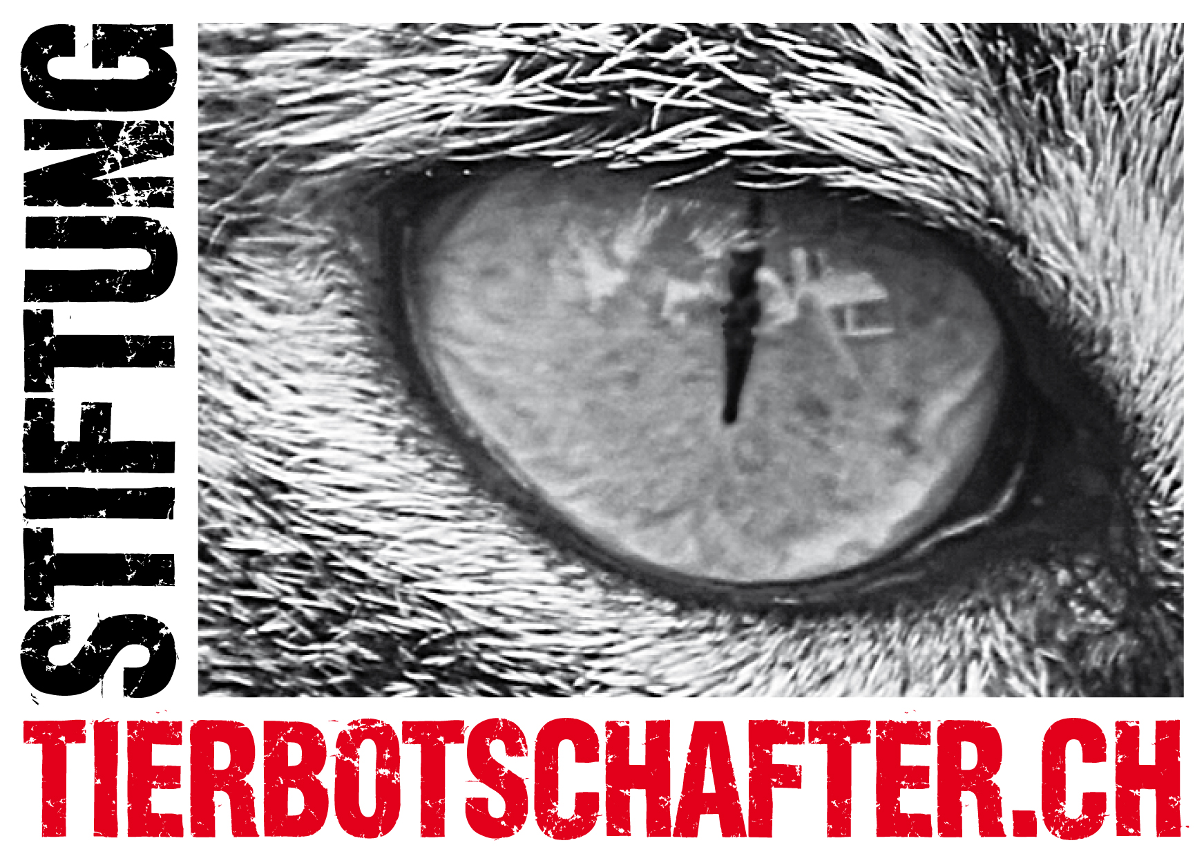 Tierbotschafter.ch