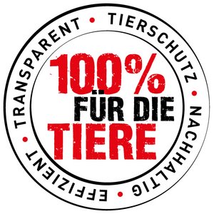 ICON_100__klein