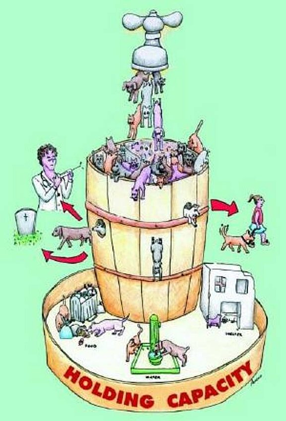 csm_HoldingCapacity_01_c5a7b79eff